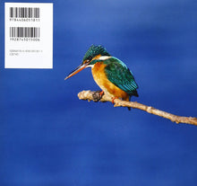 カワセミ―青い鳥見つけた (日本の野鳥)