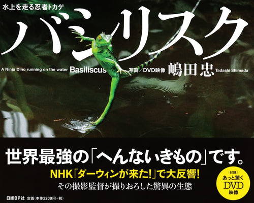 バシリスク 水上を走る忍者トカゲ (嶋田 忠)Basiliscus ( A ninja Dino running on the Water)  TADASHI SHIMADA