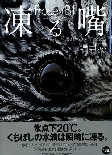 凍る嘴: 厳冬のハンター ヤマセミ  嶋田 忠  Frozen Bill: Crested Kingfisher (Tadashi Shimada)