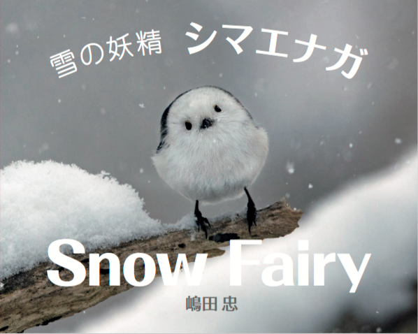 雪の妖精　シマエナガ 単行本 